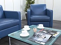 Мягкое кресло Herman Miller Кожа Синий   (Комплект из 3-х мягких кресел КНКНК1-13112)