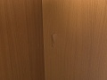 Шкаф для одежды 720х350х1 800 ЛДСП Ольха    (ШГ2ДЛ-23113)