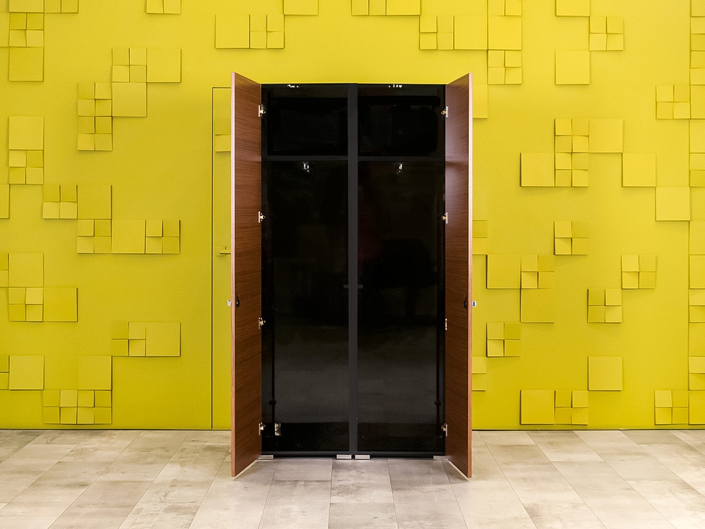 Шкаф для одежды ЛДСП Зебрано Импорт  ШГ2ДЗ-060824