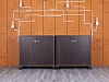 Шкаф для документов  1 200х600х1 160 Шпон Венге   (ШД2ДЕК-08075)