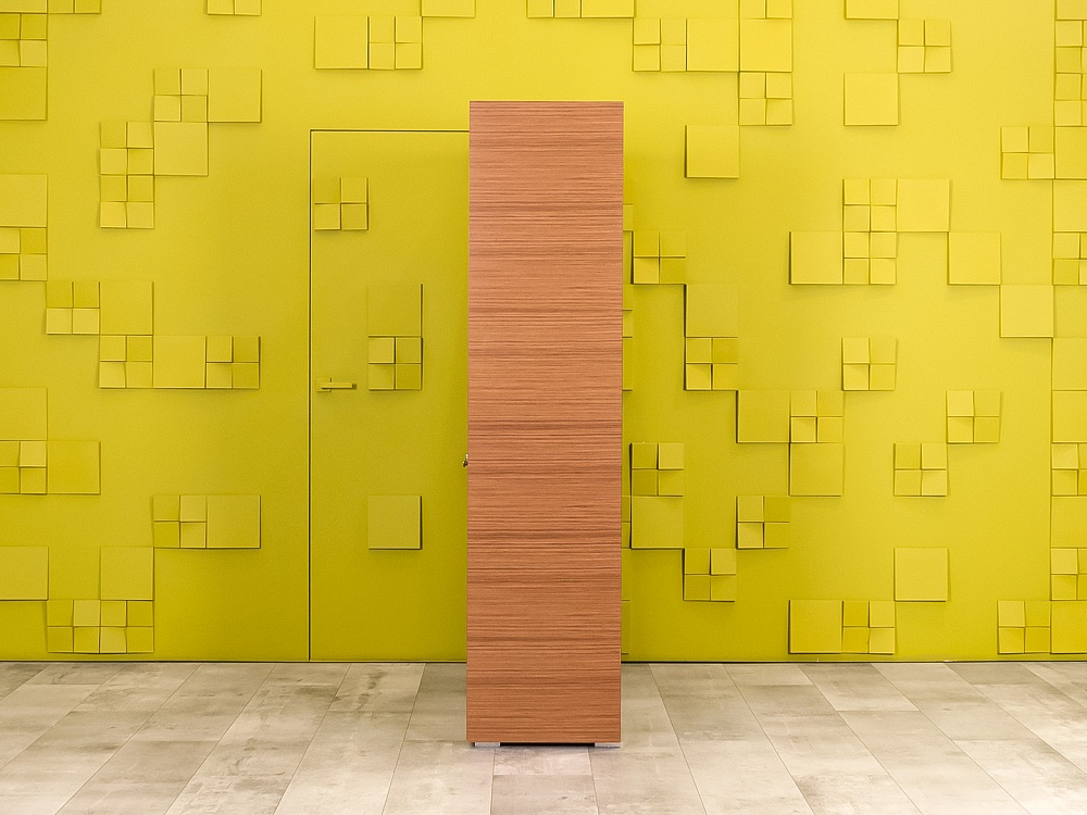 Шкаф для одежды ЛДСП Зебрано Импорт  ШГ2ДЗ-060824