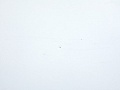 Офисный стол угловой  1 500х1 200х760 ЛДСП Белый   (СПУБл-02082уц)