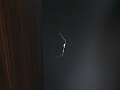 Кабинет руководителя GOODFURNITURE 2 500х2 100х770 МДФ Махагон Perth  (КРШ-13054)